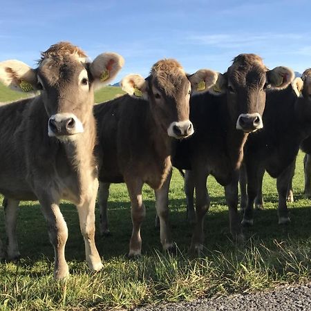 Ferienwohnung Am Kurpark Oy-Mittelberg Bagian luar foto